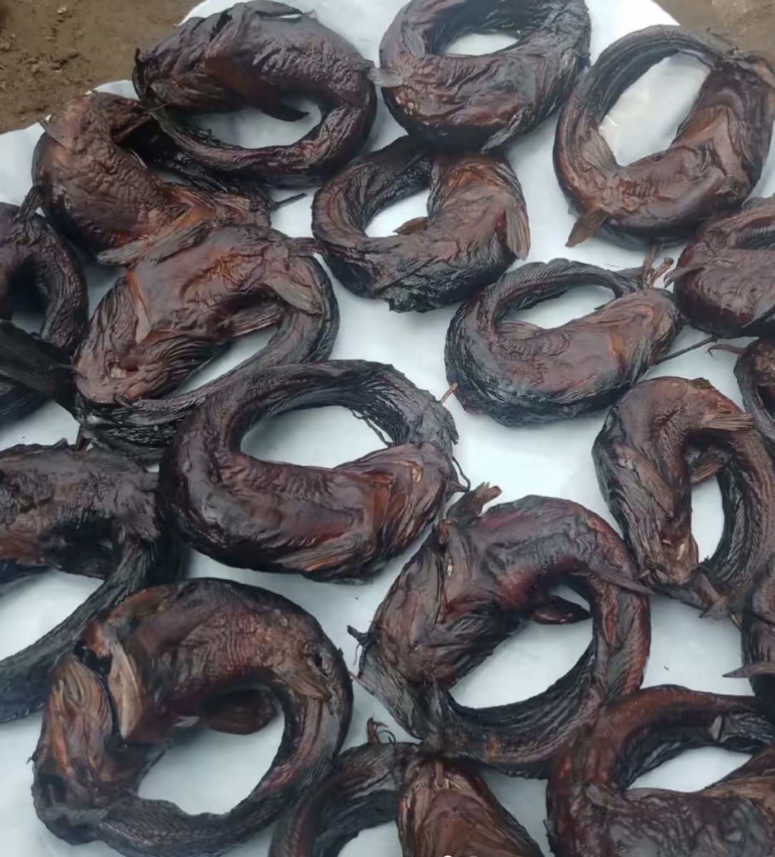 🔥 Smoked Catfish – Rich, Aromatic & Ready to Eat — O&J Harvest Nigeria